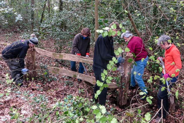 Members of Sandgate Conservation Society have been hard at work repairing a fence at Sullington Warren