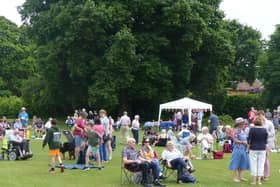 Village picnic held in Fernhurst.