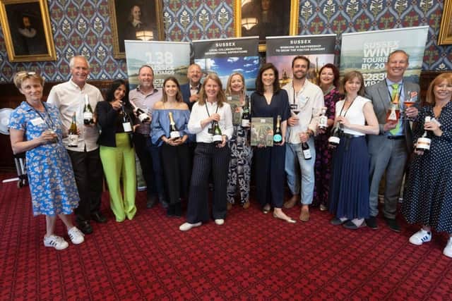 Representatives from eleven Sussex Vineyards that attended the Sussex Wine Tourism: A Plan for Growth last week at the Houses of Parliament. Photo: David Hartley