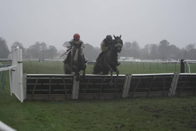 January jump racing at Fontwell Park, 2025