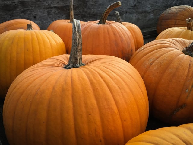 From October 22 until October 31 join in the child-friendly Halloween quiz when visiting the farm. washbrooks.co.uk