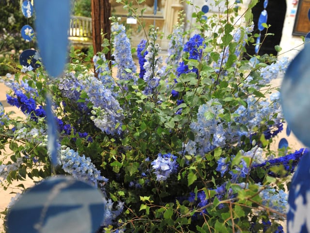 From the bold and colourful installations guiding visitors up the 950-year-old nave, to the wilder and more poignant displays in the side chapels, this year's Festival of Flowers in Chichester Cathedral is an extraordinary feat of community and creativity.