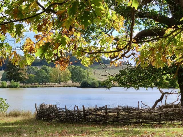 The first signs of autumn are emerging at Petworth Park, from amber leaves and fallen conkers to flourishing fungi and a burst of berries.