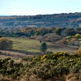 Hundreds of people are going to hike 100 miles on a route that will take them through the Ashdown Forest area over the next Bank Holiday weekend. Photo: Peter Cripps, Iconic Media Group,m 2019