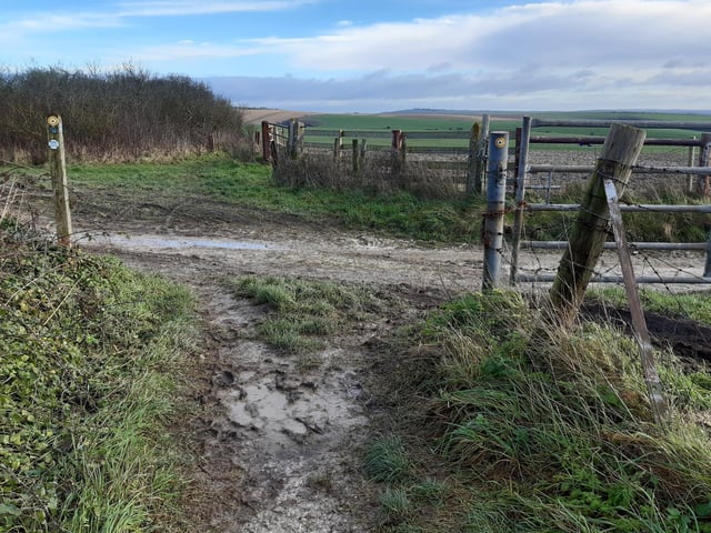 You will eventually reach a crossroads of footpaths. We are turning right here and as you do so, you will see Cissbury Ring ahead of you. Do enjoy the views over to Lancing, Shoreham and Southwick.