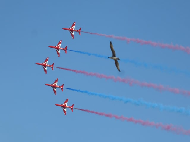 Airbourne 2022 (photo by Marion Pink)