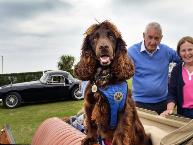 MG owners South Downs Run 2024 (Photo by Jon Rigby)
