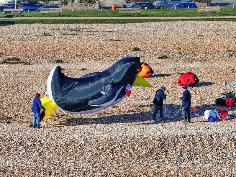 Some eye-catching kites have been pictured on Goring beach in West Sussex.