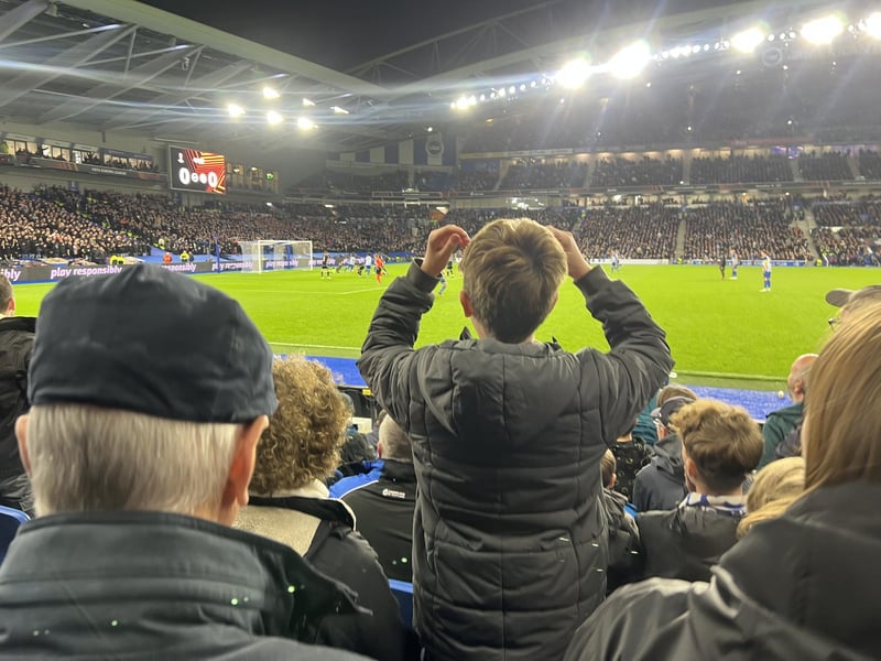 One Albion fan holding his head in his hands as a shot goes wide.
