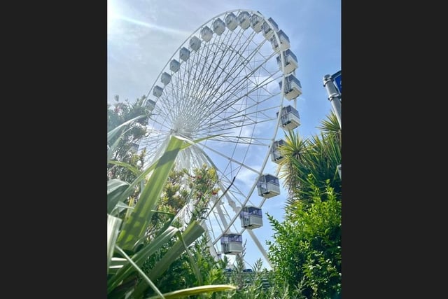 Eastbourne big wheel: Photo from Kirsty Taylor
