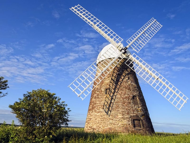 A walk from Boxgrove, near Chichester, to the iconic Halnaker Windmill takes you through the famous 'tree tunnel'. It offers particularly lovely views, especially in autumn.