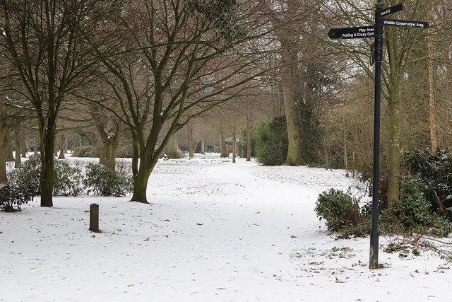 Hotham Park in the snow