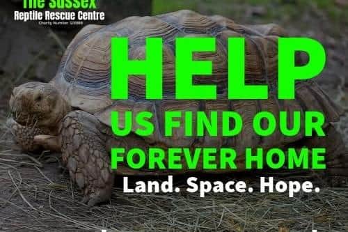 The Sussex Reptile Rescue Centre based in Bognor Regis has launched an appeal to find a permanent home after outgrowing the family property from which it currently operates.