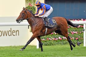 Paddington, ridden by Ryan Moore, wins the St James' Palace Stakes at Ascot on Tuesday and may well reappear in the Sussex Stakes | Picture: Malcolm Wells