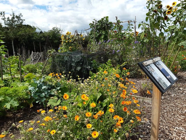 RHS Garden Wisley is a great day out, and it's only just outside of Sussex. Picture: Katherine HM