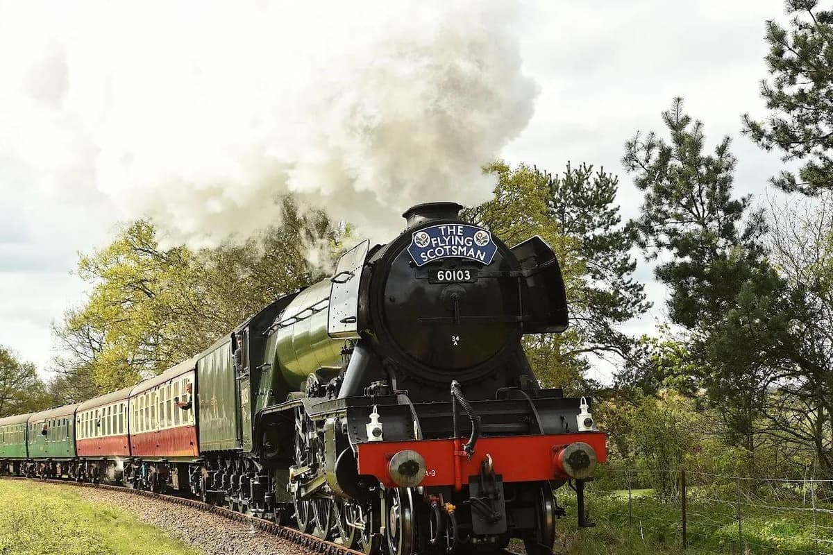 Bluebell Railway announces no steam locomotives will operate until further ...