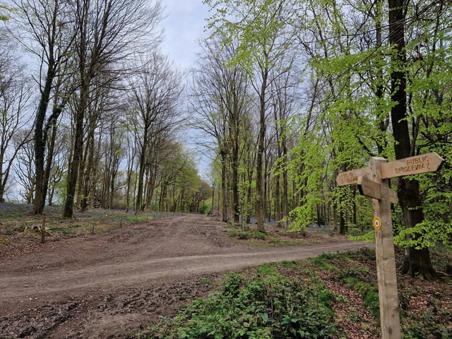 At this next crossroads, continue in the same direction, following the wide path ahead