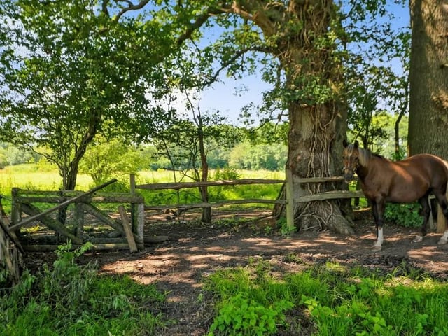 This five bed converted barn in Anmore Road, Denmead is on the market for £1.4m. It is listed on Zoopla by White & Guard Estate Agents.