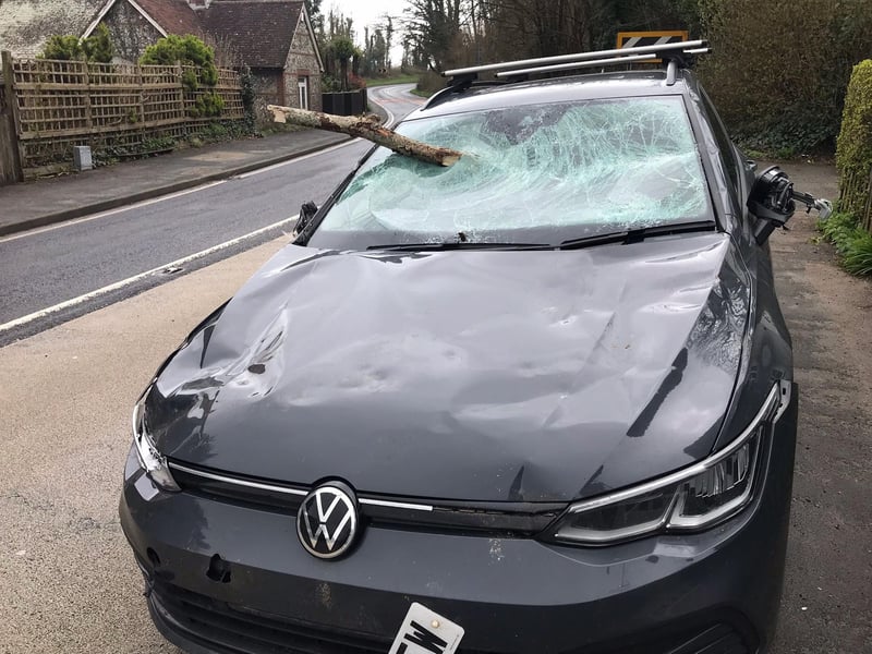 A woman had her car windscreen smashed by a tree branch whilst she was driving to see her parents in Ditchling.