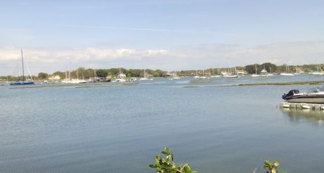 Embark on a boat trip from Chichester Harbour and be treated to the sight of dolphins elegantly swimming alongside the vessel, creating an unforgettable wildlife encounter