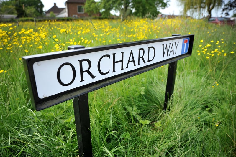 Blue campaign sites at Orchard Way and Green View, Burgess Hill, where Mid Sussex District Council are rewilding the turfed areas that were once apple orchards before the housing development was built