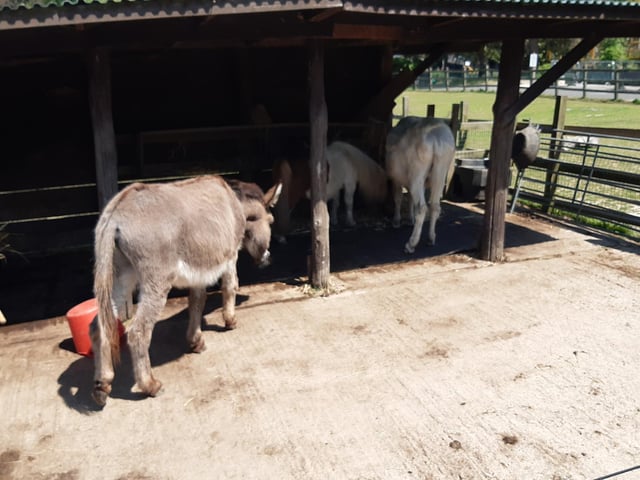 Tilgate Nature Centre