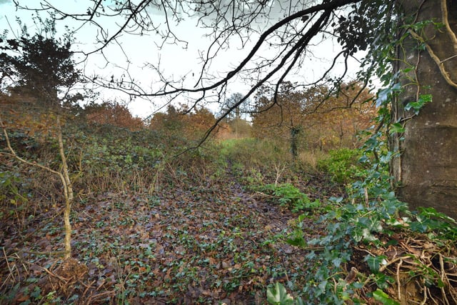 Proposal to build 140 homes on the land at Sandrock Bends - The woodland opposite Conquerors March on The Ridge, Hastings.