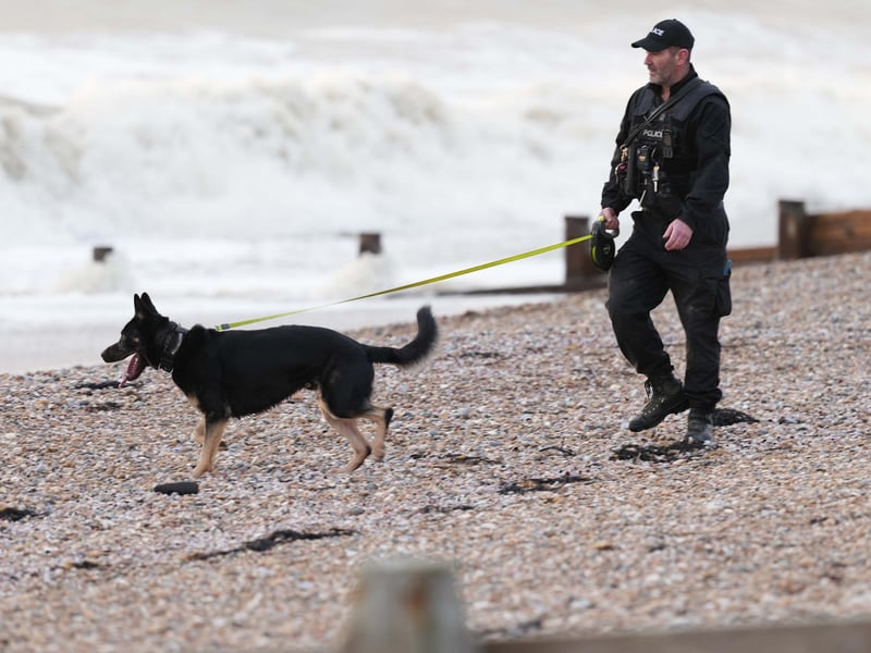 The RNLI, police and coastguard have been called out to an incident in East Preston. Picture: Sussex News and Pictures