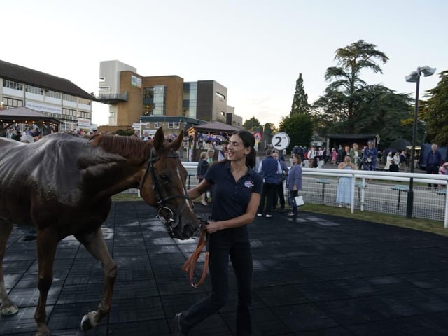 Fontwell Park Ladies' Evening 2025