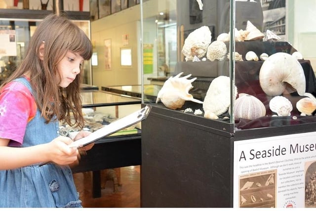 Bexhill Museum, in Egerton Road, has lots to explore and discover