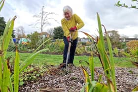 Mid Sussex District Council and its ground maintenance partner, Glendale, are working with local people to conserve and nurture award-winning green spaces in the district.SR2601042. Pic Steve Robards/Iconic Media Group