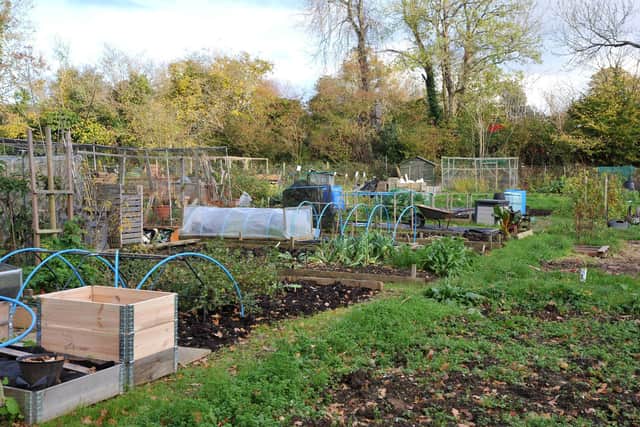 Allotment holders at Chanctonbury allotments in Burgess Hill are dismayed at plans to build new homes where their patches are