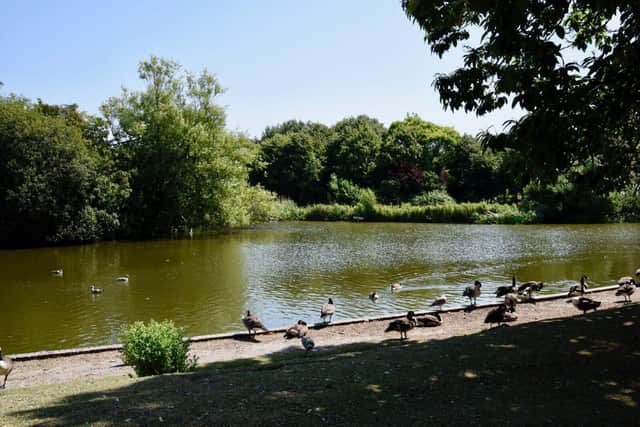 Common Pond, Bellbanks Road, Hailsham