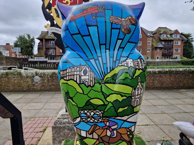 Colourful owls have flown into Arundel as part of the Wild in Art event The Big Hoot trail, raising money for Chestnut Tree House.