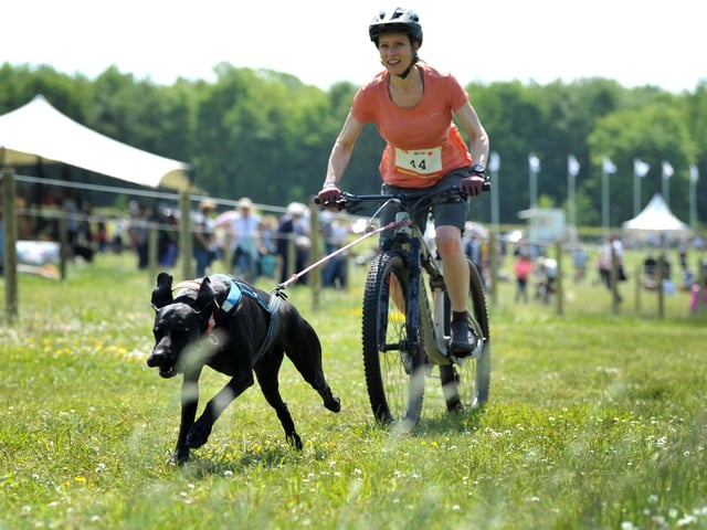 Saturday at Goodwoof 2023. Pic S Robards SR2305201