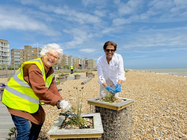 Bexhill Beach Garden re-planting event
