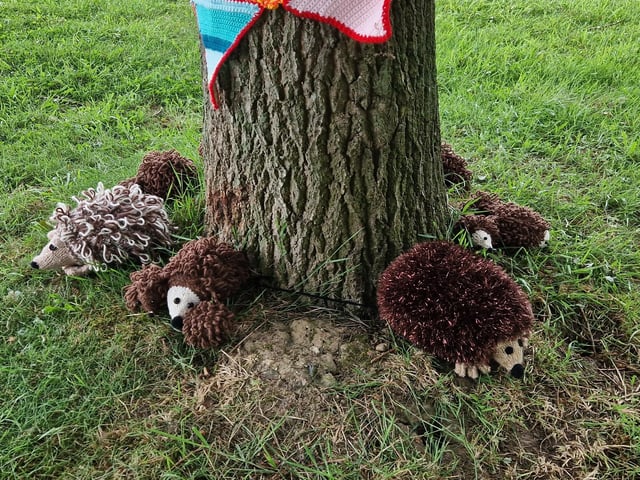 We have lots of woodland creatures, like hedgehogs on the ground