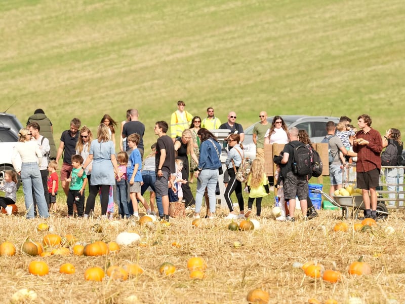 Based at Lychpole Farm just off the A27, family-run picking patch Sompting Pumpkins is open for business again this year. Picture: Eddie Mitchell