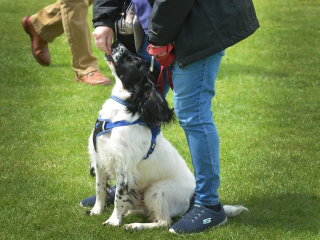 Bexhill Horse & Dog Show 2024.