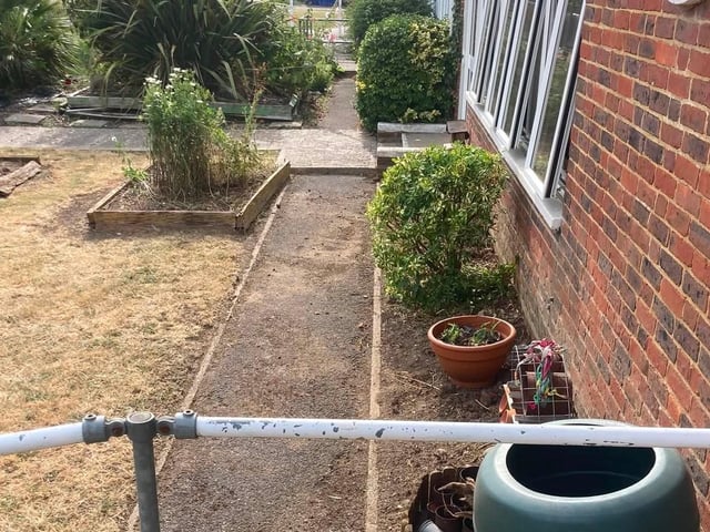 After the Paul Wicks Garden Services free job