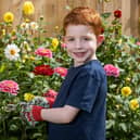 Theodore Rumbold, eight, from Haywards Heath, took home Dobbies' Little Eco Gardener award