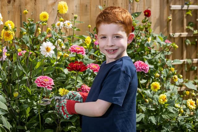 Theodore Rumbold, eight, from Haywards Heath, took home Dobbies' Little Eco Gardener award