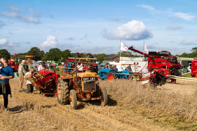 Fun for all the family and the West Grinstead annual ploughing match and show. Photo contributed