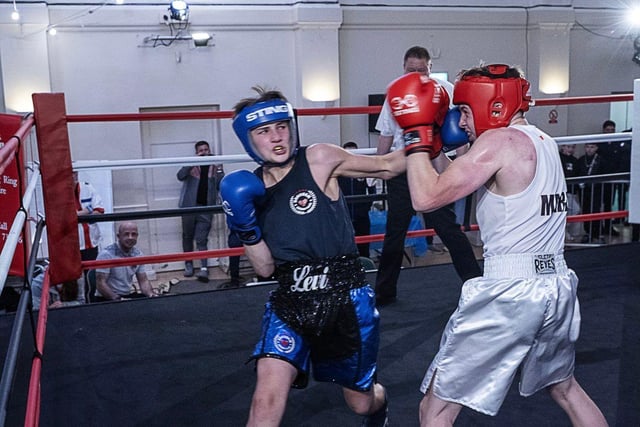 Horsham Boxing Club adding more champs to the camp along with another ...