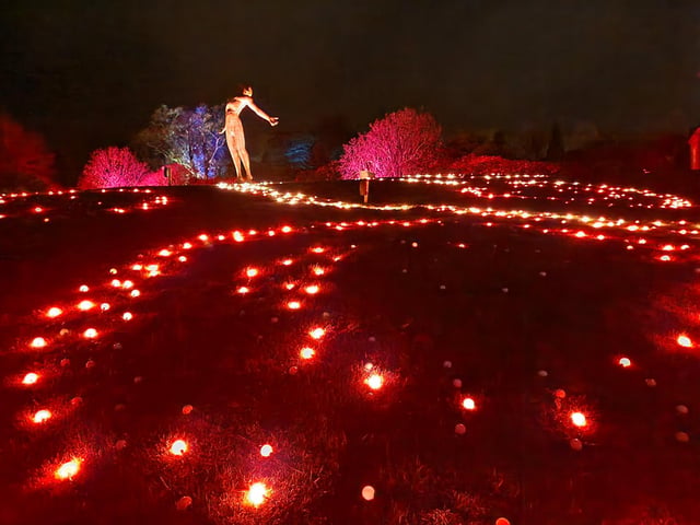 Leonardslee Lights 2024 transports guests into an enchanting world as the gardens come alive with stunning illuminations, captivating large-scale installations, mesmerising fountains and more