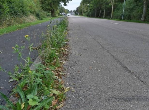 Councillors call for an end to the use of a carcinogenic weed killer in public places