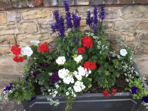 Petworth will be hosting a town town tidy up as they prepare for the national ‘In Bloom’ competition.