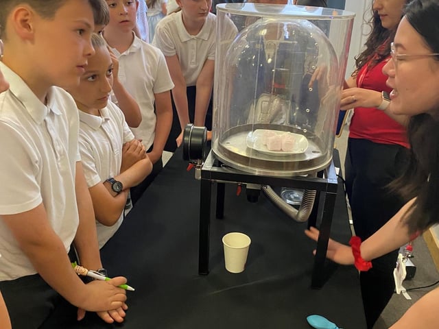More than 250 students took part in the event