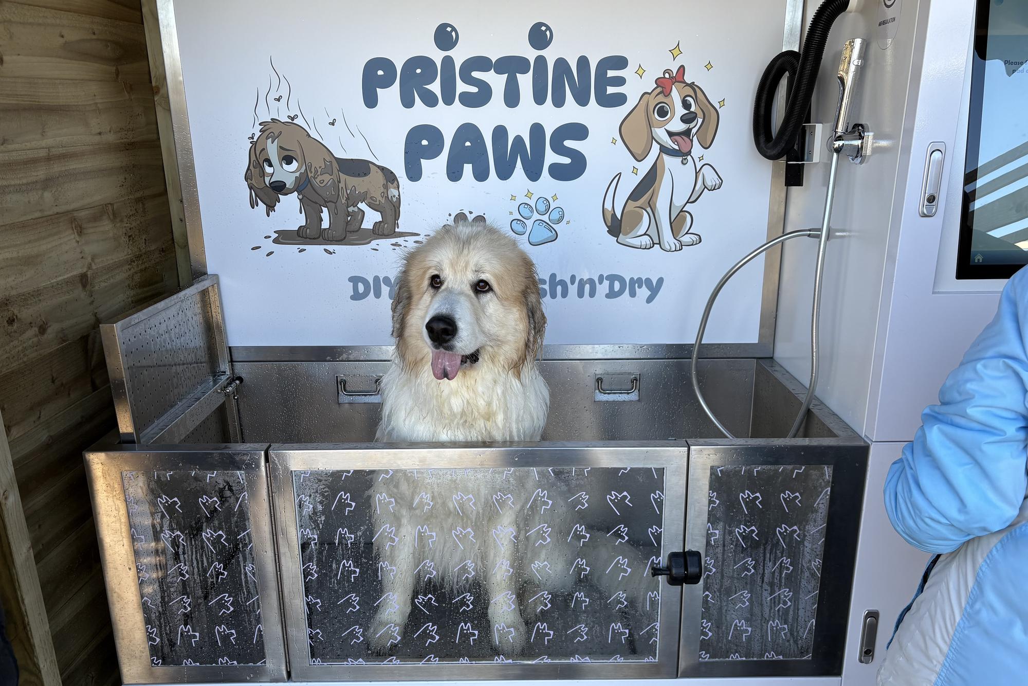 New self-service dog wash launched in West Sussex