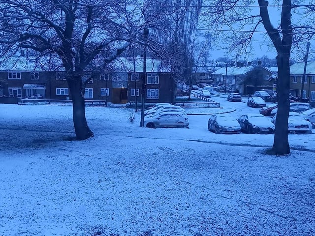 Tilgate. Picture by Janet Gray
